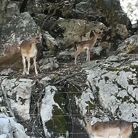 Agricampeggio Loasi Del Pollino Campsite Mormanno
